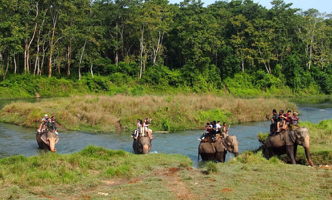 chitwan safari package