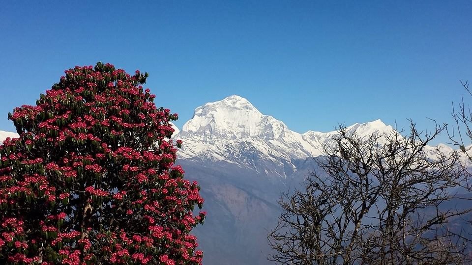 trekking in nepal in march