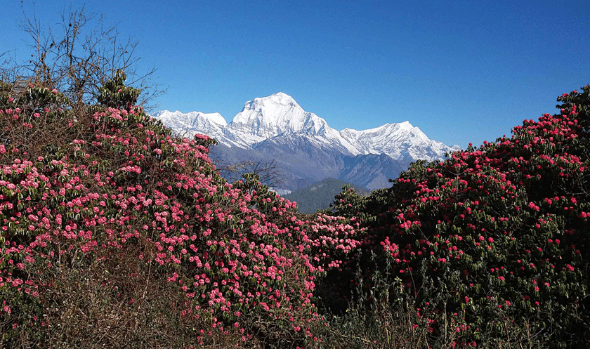Nepal in April