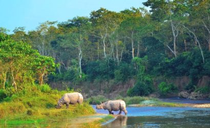 Safari Chitwan Tour