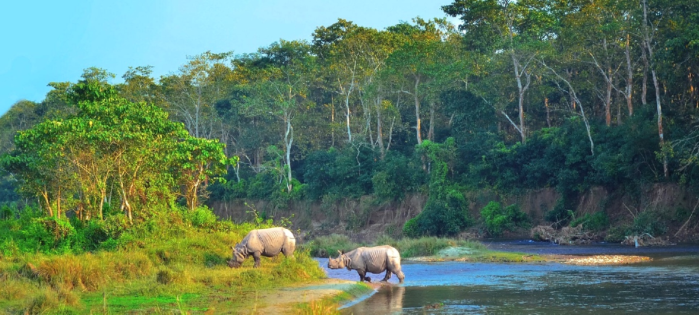chitwan national park safari cost