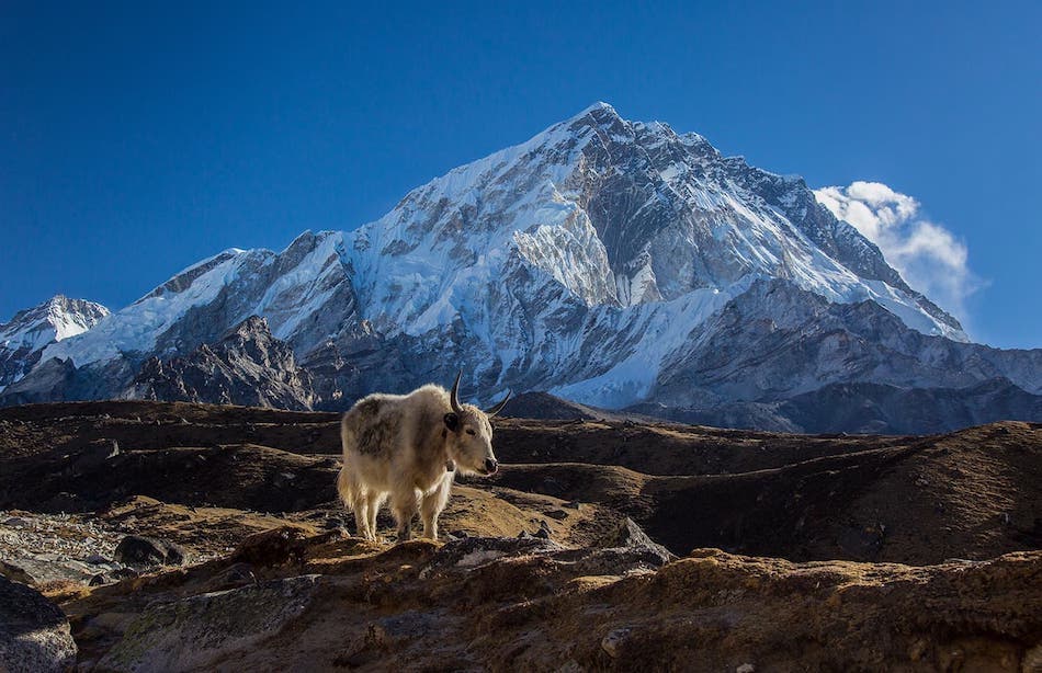 Everest base camp outlet trek in november